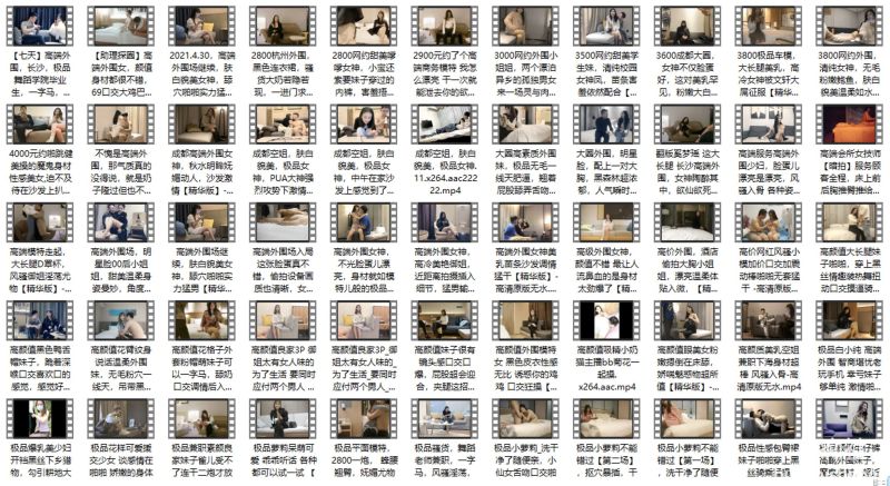 极品探花系列【高端外围】最强合集预览图09