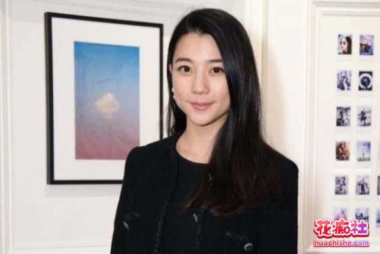 【重温经典】陈冠希老师及张柏芝等众明星艳照门事件 全网最全资源 4K高清修复合集预览图04