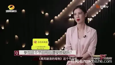 特殊综艺节目合集预览图24