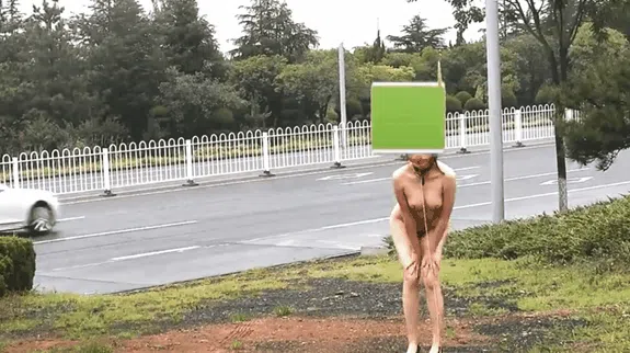 水色母犬