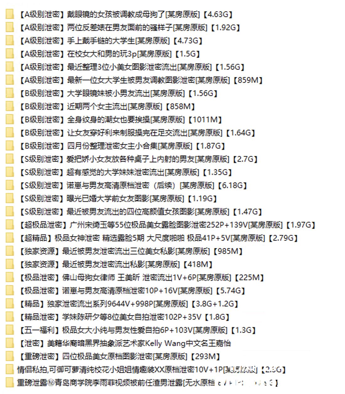 泄密大礼包：A-B-S级别泄密预览图23
