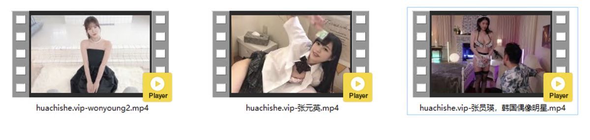 AI换脸张元英 3部视频预览图01