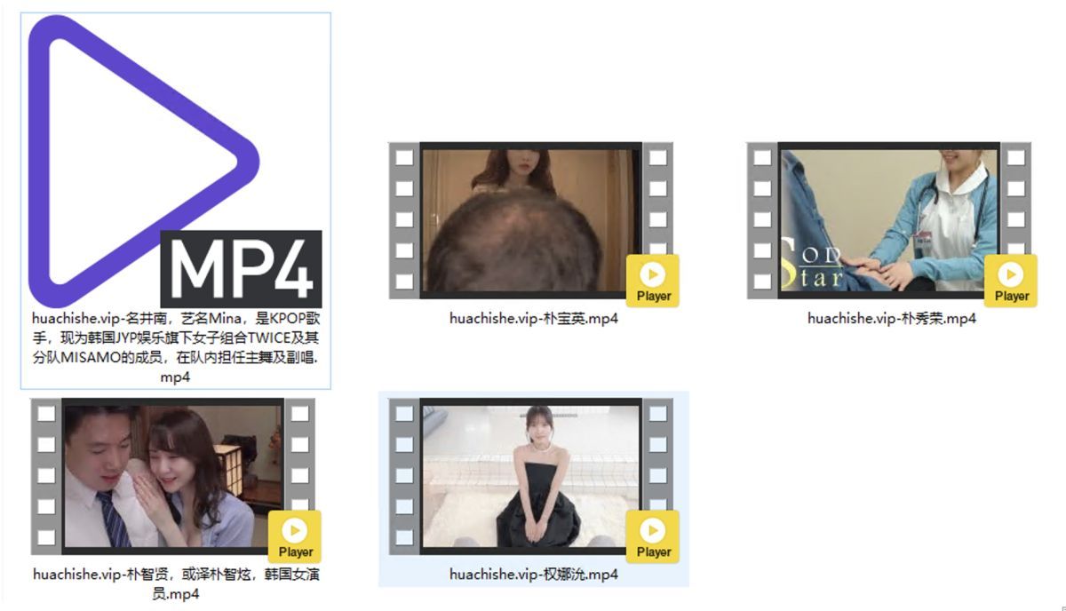 AI换脸视频精选 韩国明星5部合集第四弹预览图01