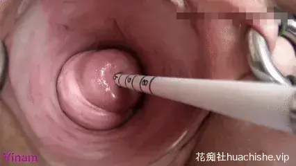 超级重口人体改造Stim99 子宫/尿道/扩张/穿刺38部预览图02