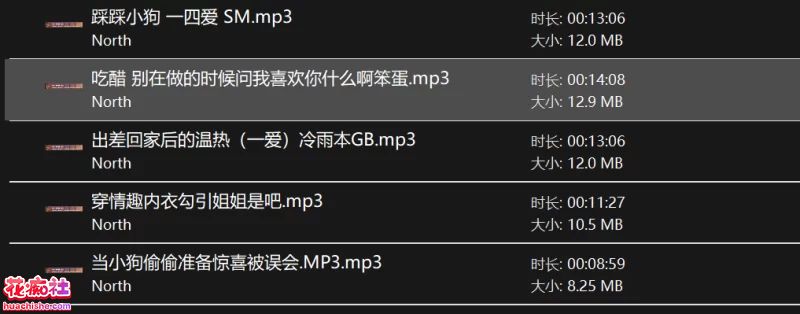 North中文音声小合集+哄睡小故事预览图02