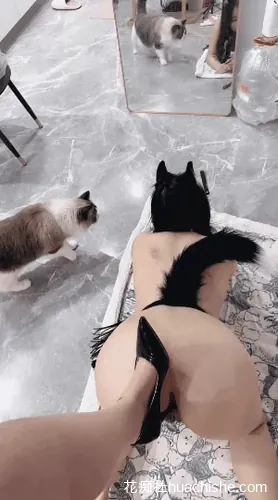 仙鹤1128 微胖女女调教制服丝袜诱惑预览图04