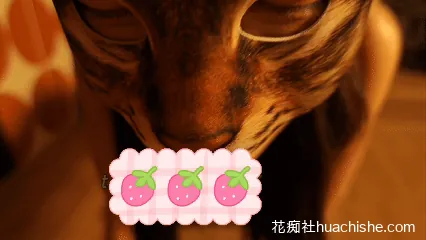 老虎菜SVIP频道独家 内射两炮极品拉拉预览图01