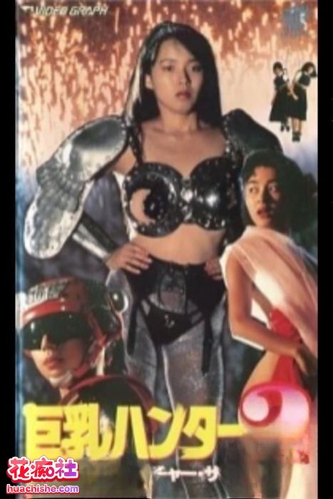 90年代个人收藏日本三级片预览图04